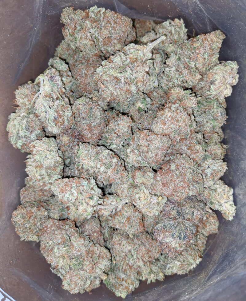 Critical Kush #2 - Image 6