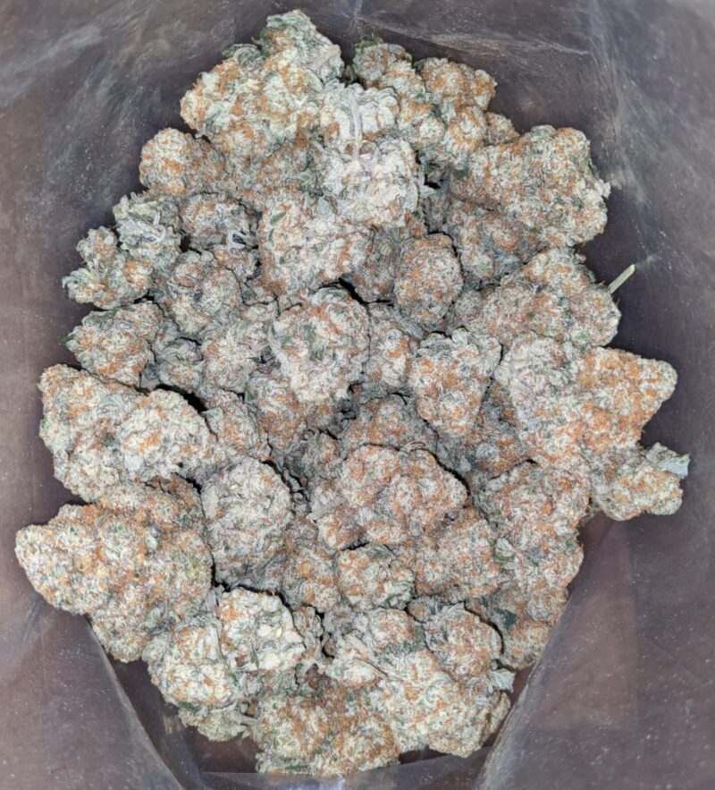 Crunch Berry - Image 5