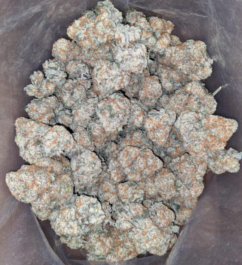Crunch Berry - Image 4