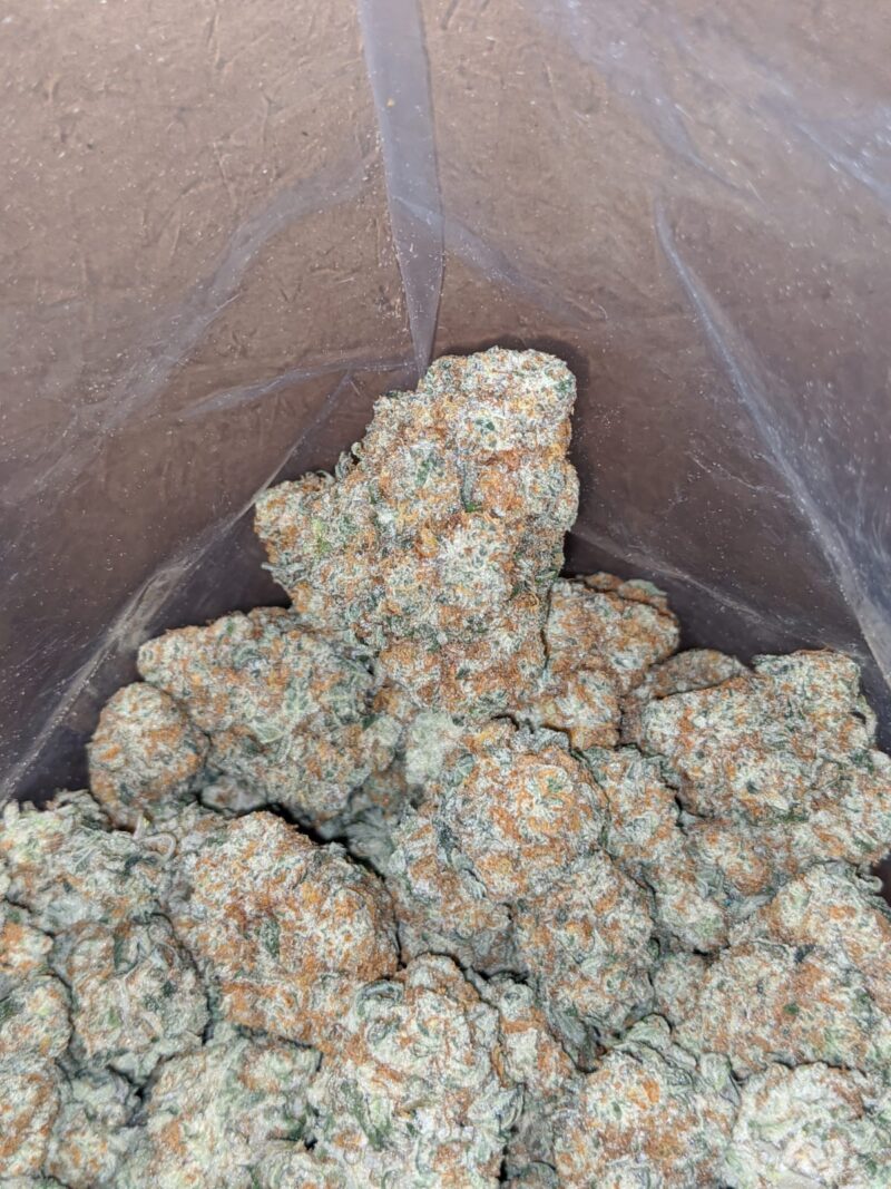 Crunch Berry - Image 7