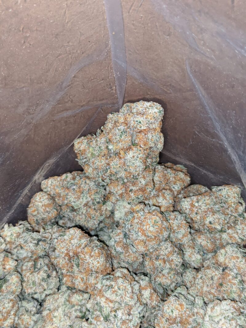 Crunch Berry - Image 6