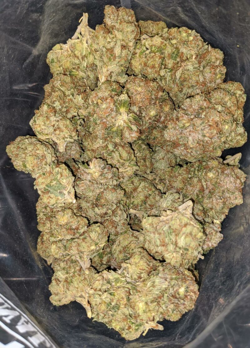 Crystal Coma - Image 4