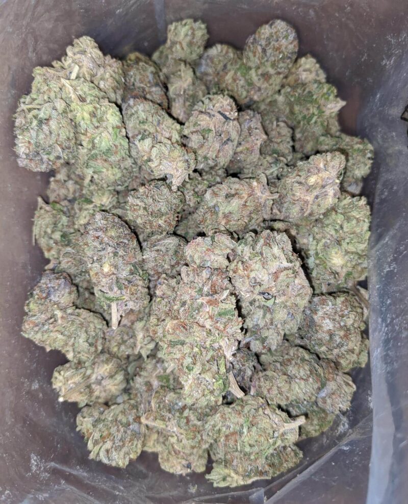 Dank Star - Image 7