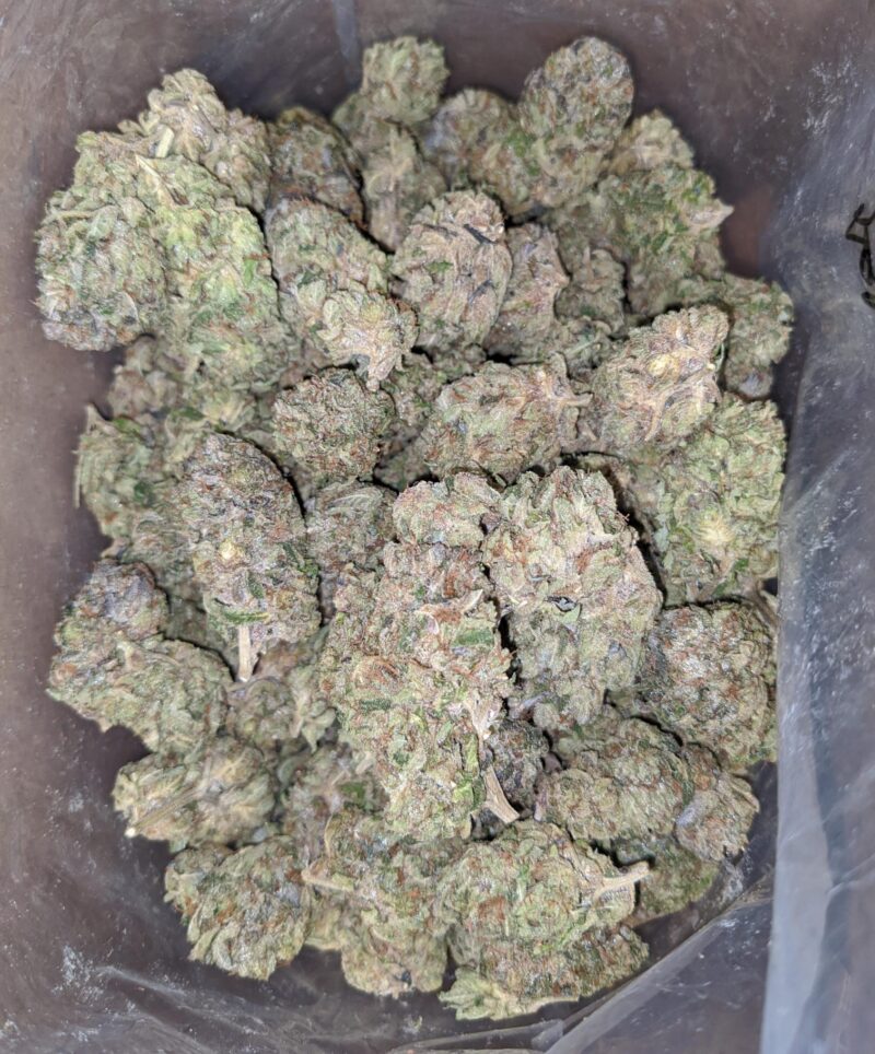 Dank Star - Image 6
