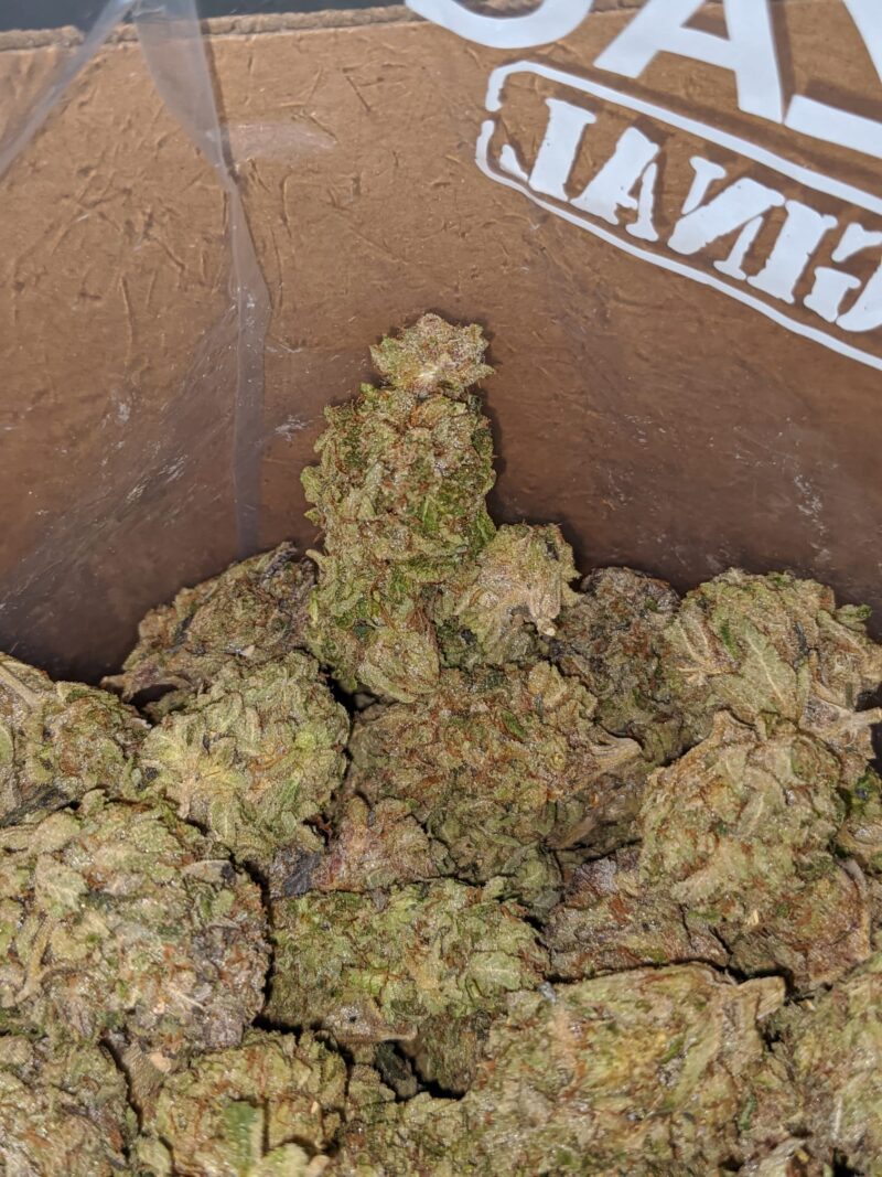 Dank Star - Image 5