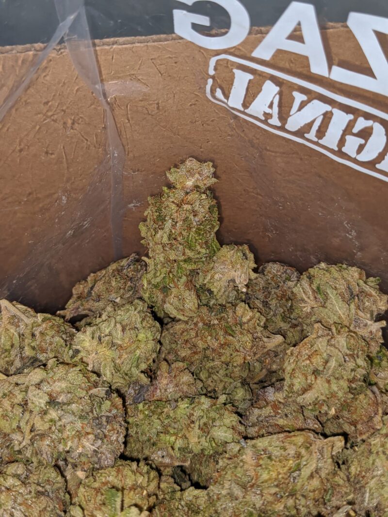 Dank Star - Image 4