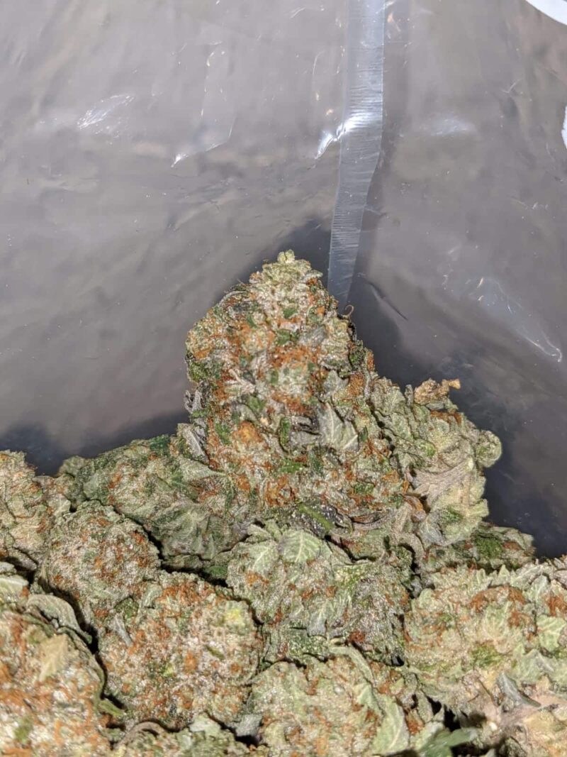 Death Star Bubba - Image 7