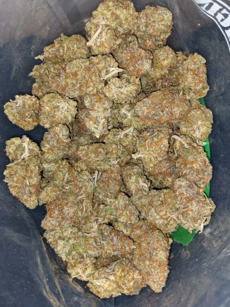 DoSi Pie - Image 5