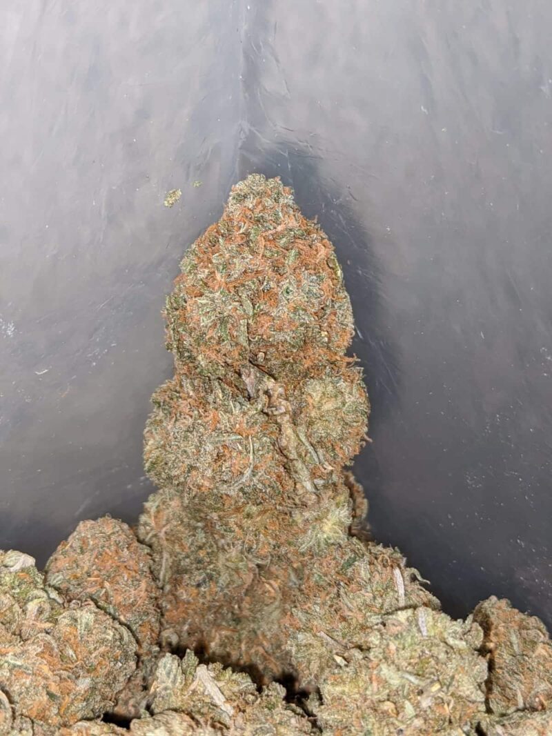 Dragon’s Breath - Image 7