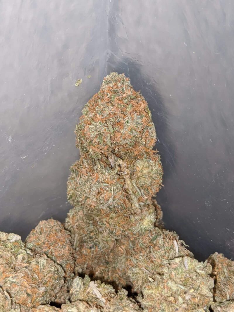Dragon’s Breath - Image 6