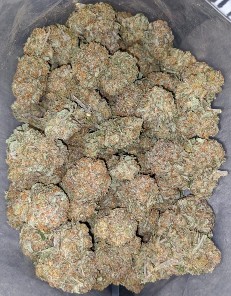 Dragon Fruit - Image 5
