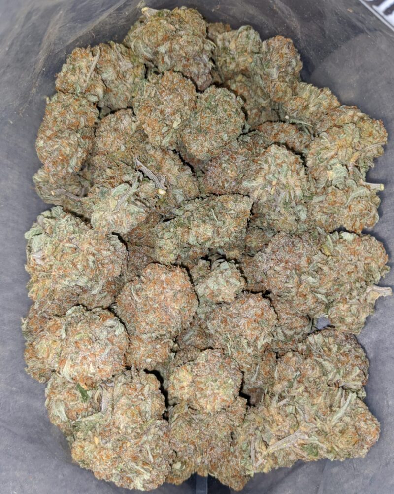 Dragon Fruit - Image 4