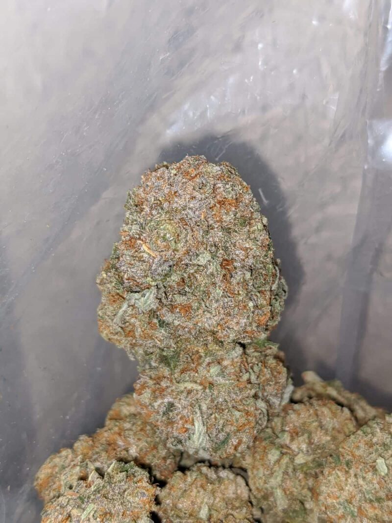 Dragon Fruit - Image 7