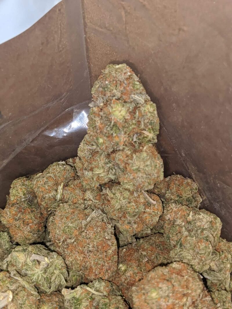 Earth OG - Image 6