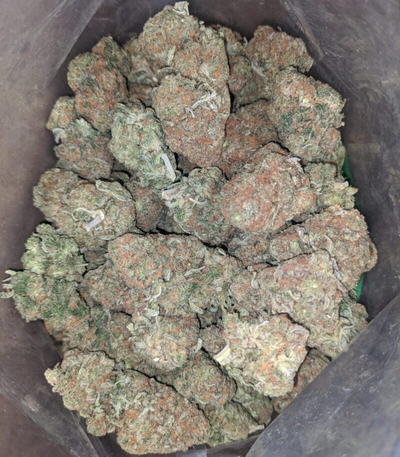 Earth OG - Image 5