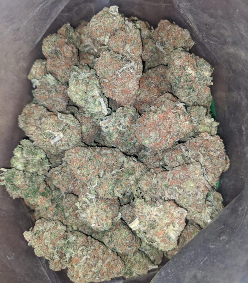 Earth OG - Image 4
