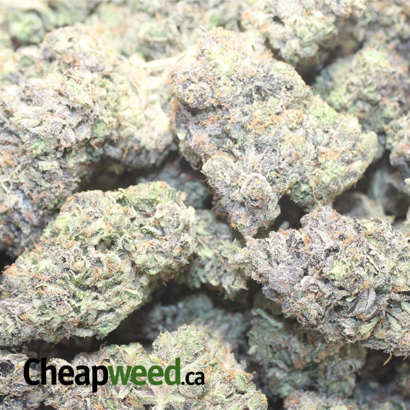 El Chapo AAAA - Image 3