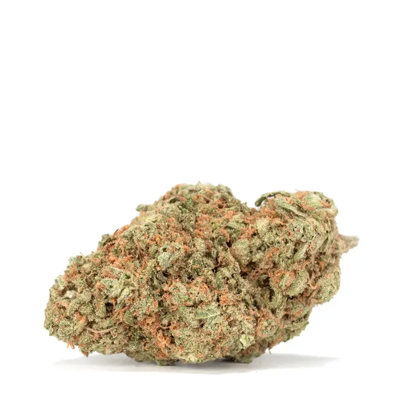 Electric Lemon G