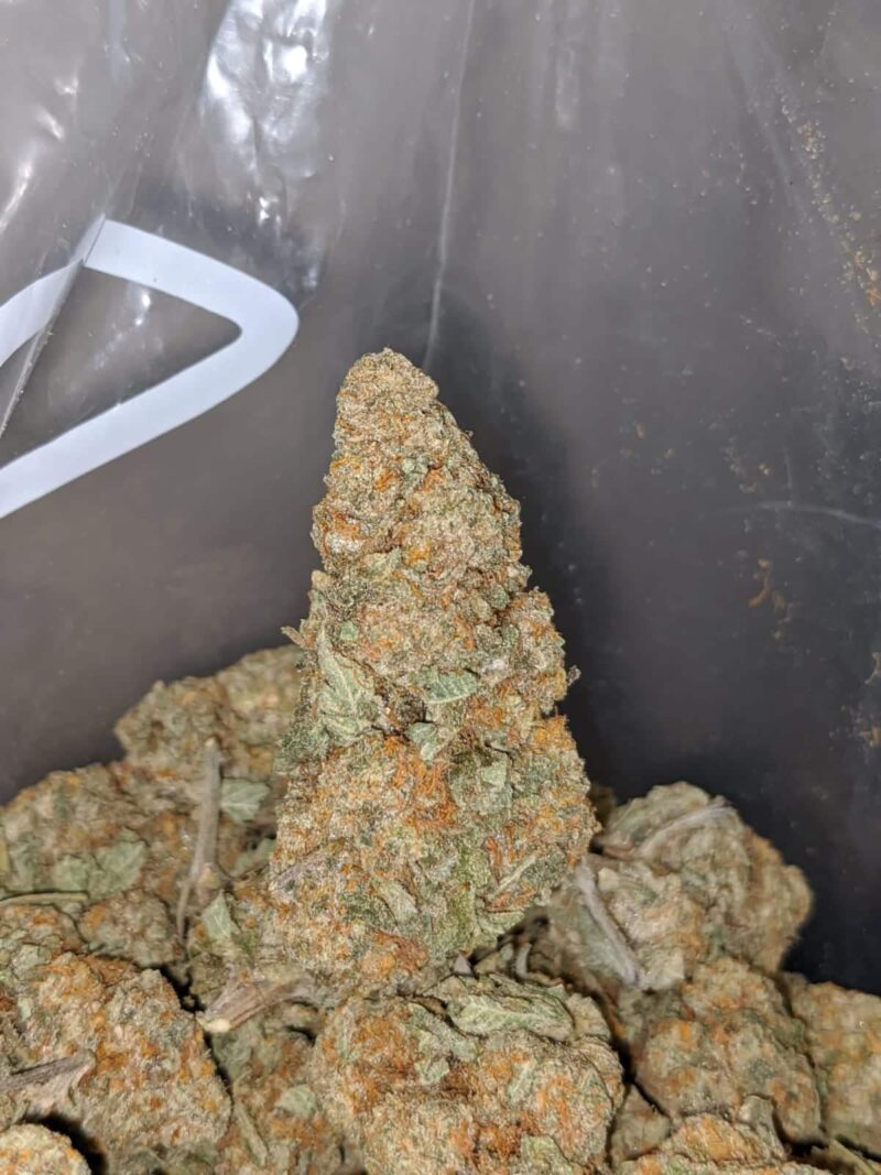 Emma’s Crunchberry - Image 7