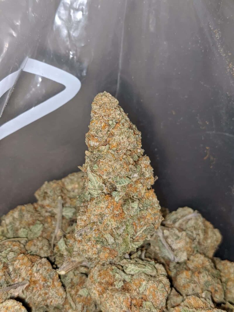 Emma’s Crunchberry - Image 6
