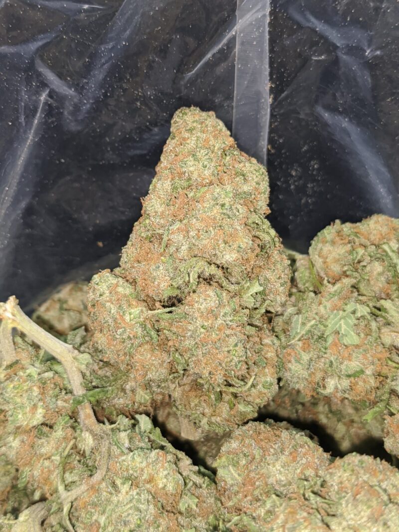 Emma’s Nuken - Image 7
