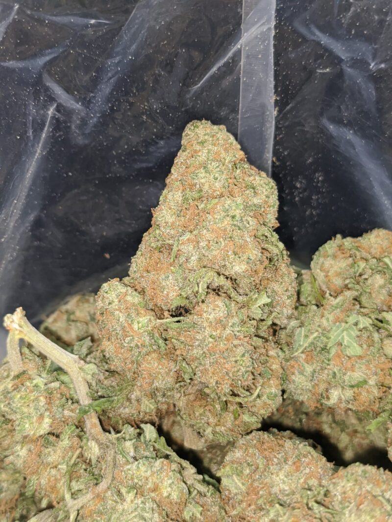 Emma’s Nuken - Image 6