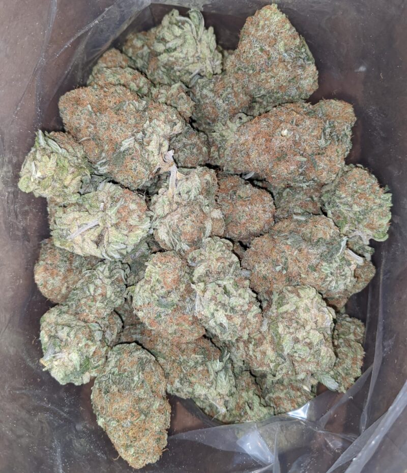 Exodus Cheese - Image 5