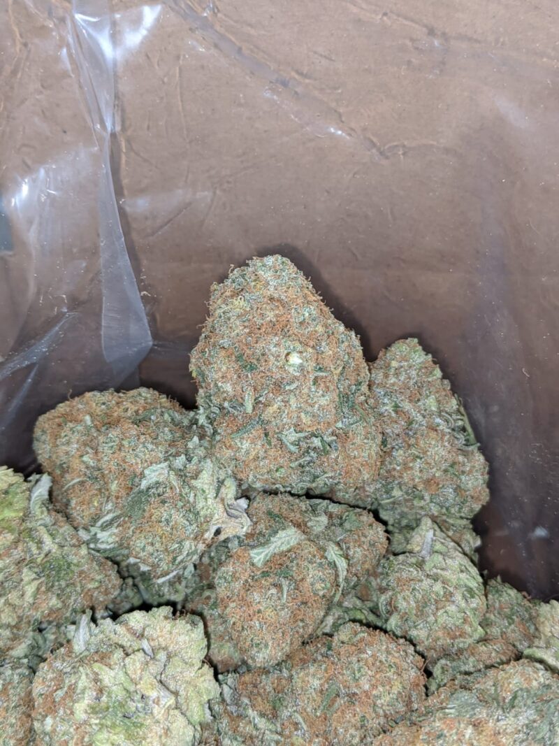 Exodus Cheese - Image 4