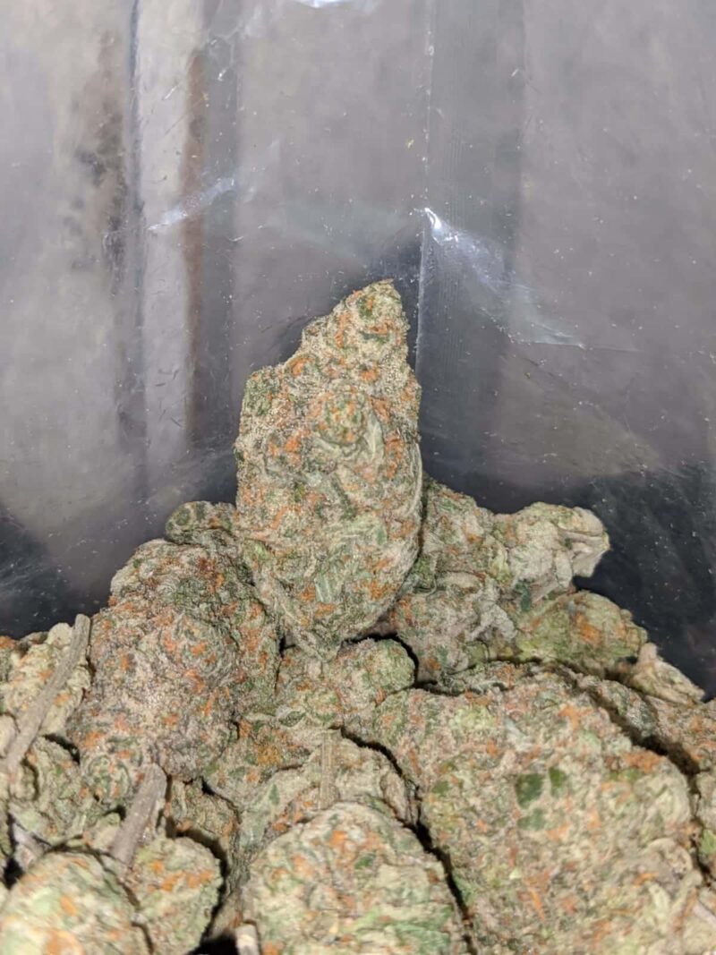 Fruit Roll Up - Image 4