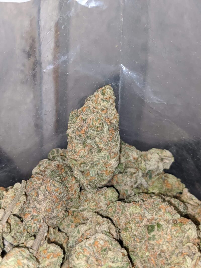 Fruit Roll Up - Image 7