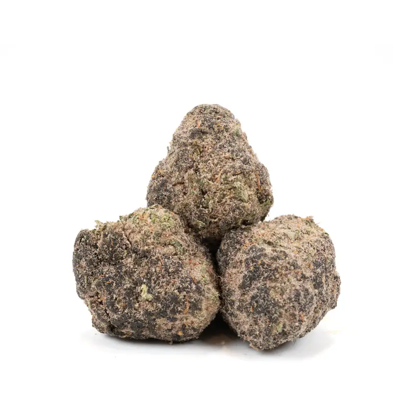 Moon Rocks – Gary Payton