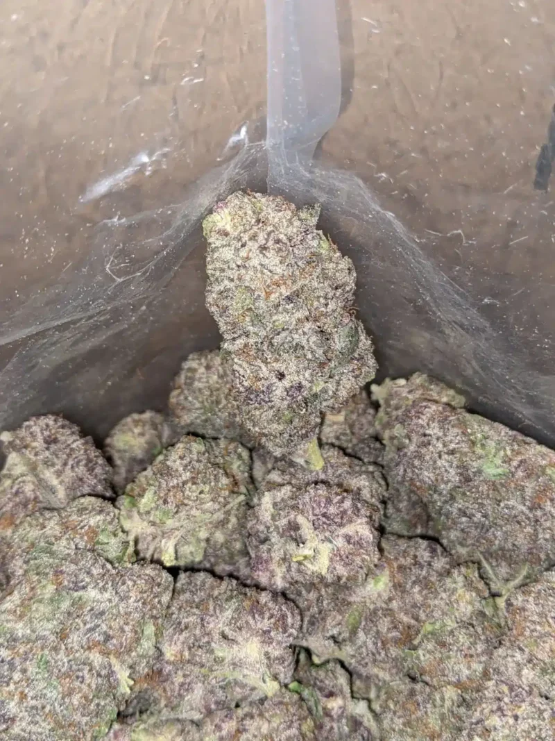 God’s Green Crack - Image 7