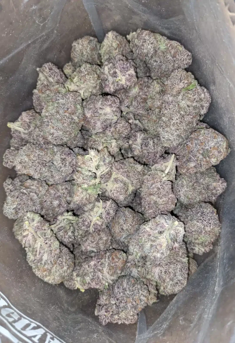 God’s Green Crack - Image 4