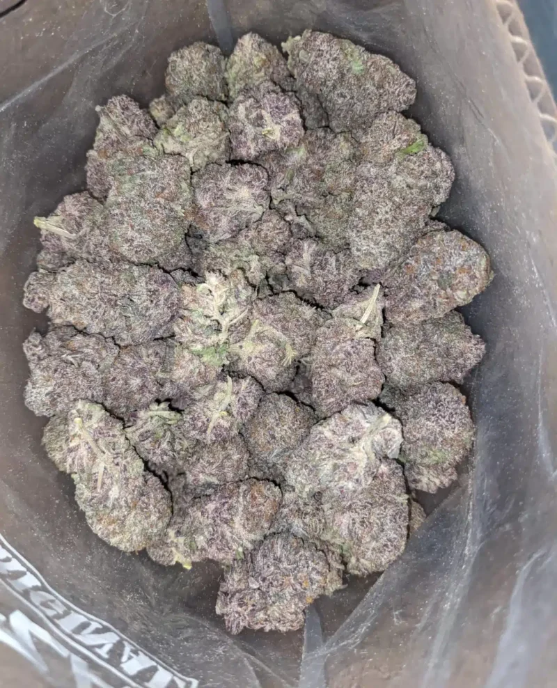 God’s Green Crack - Image 5