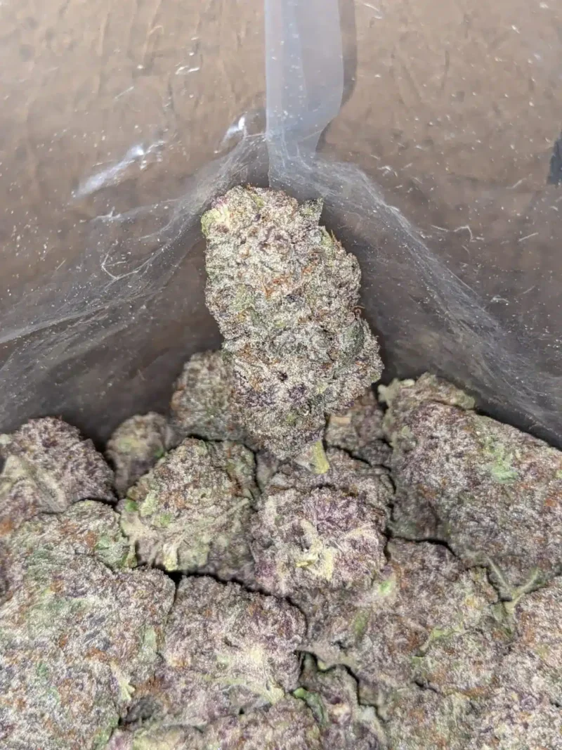 God’s Green Crack - Image 6
