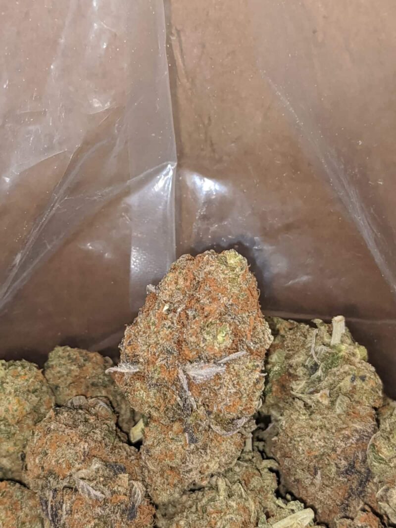 Ghost OG - Image 5