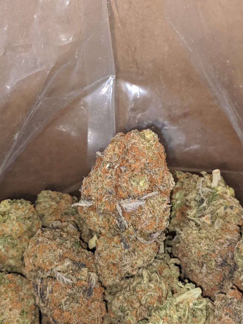 Ghost OG - Image 4