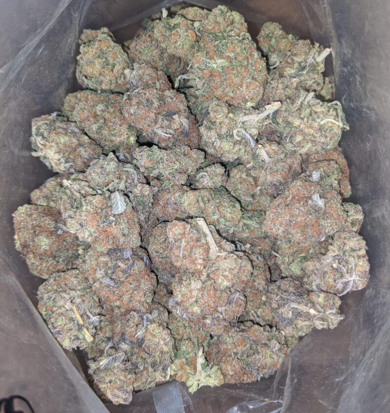 Ghost OG - Image 7