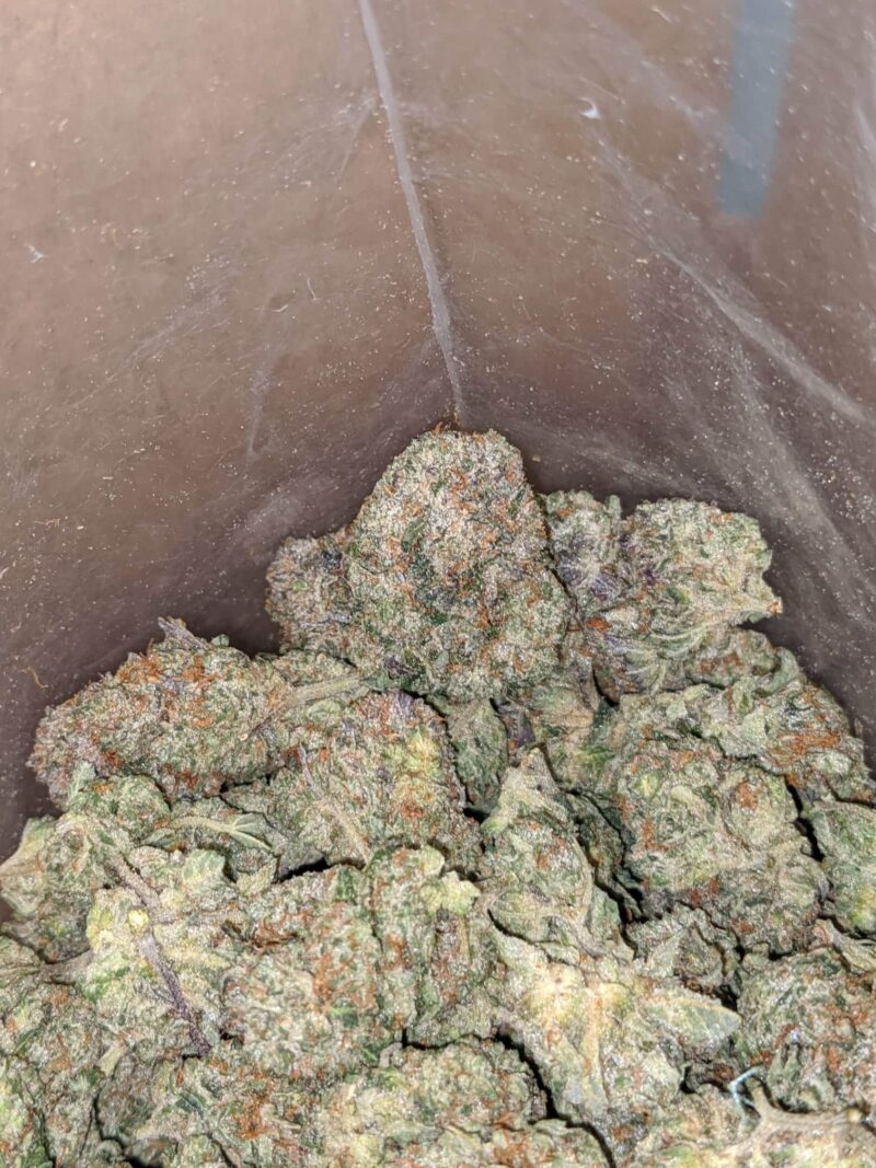 Girl Scout Cookies #2 - Image 6