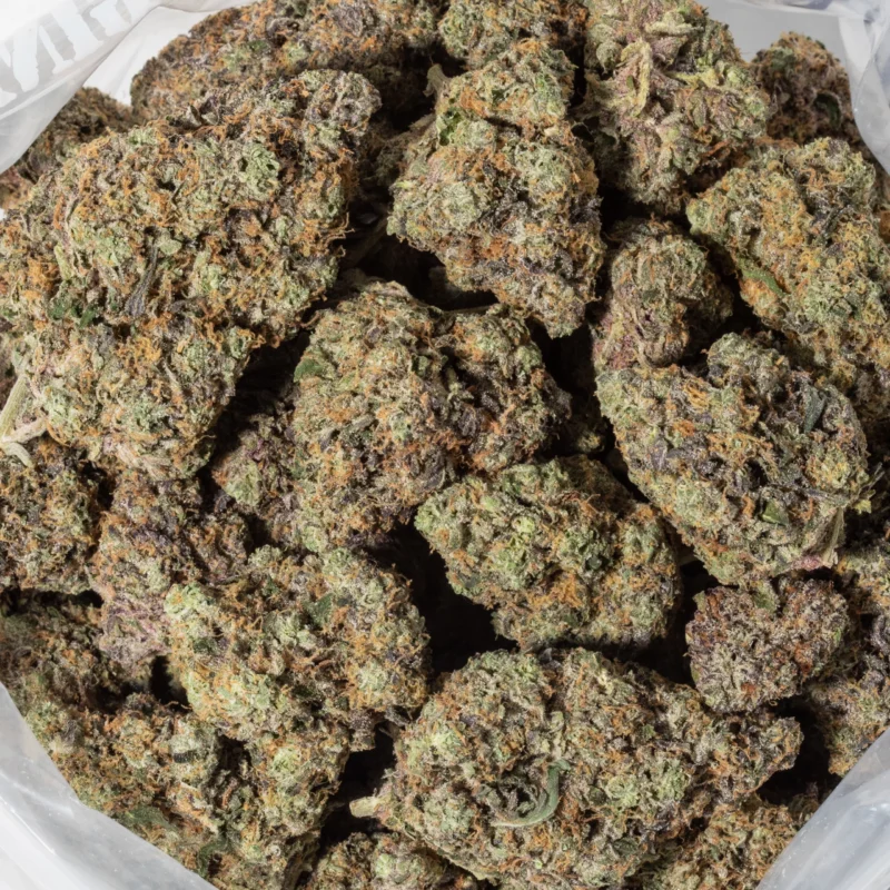 Gelato 42 (AAAAA/Craft) - Image 3