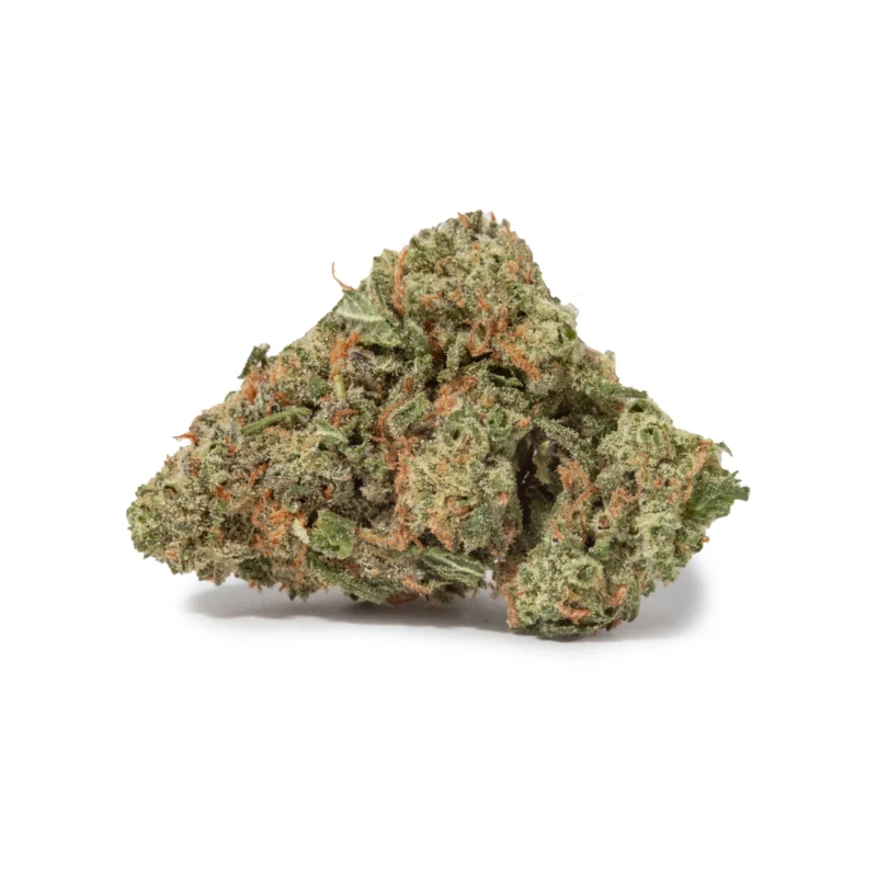 Harlequin (AAA+)