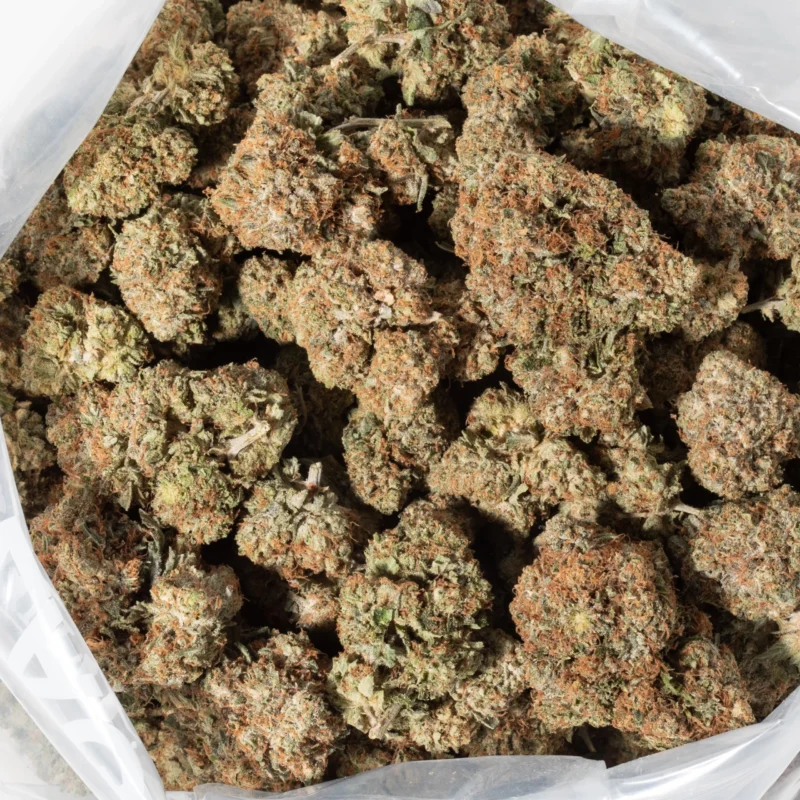 Jet Fuel Gelato (AAA) - Image 3