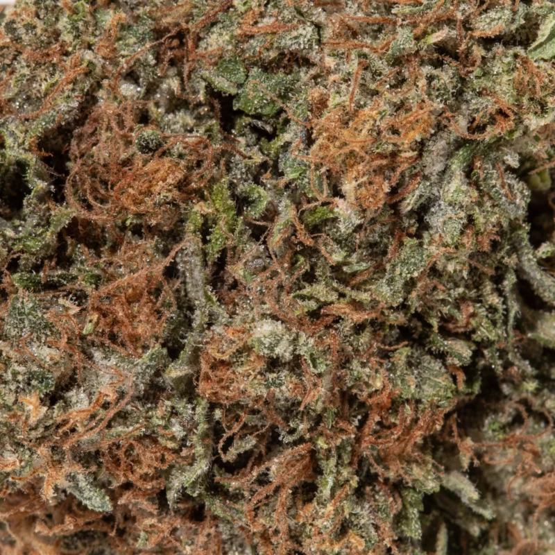 Jet Fuel Gelato (AAA) - Image 2