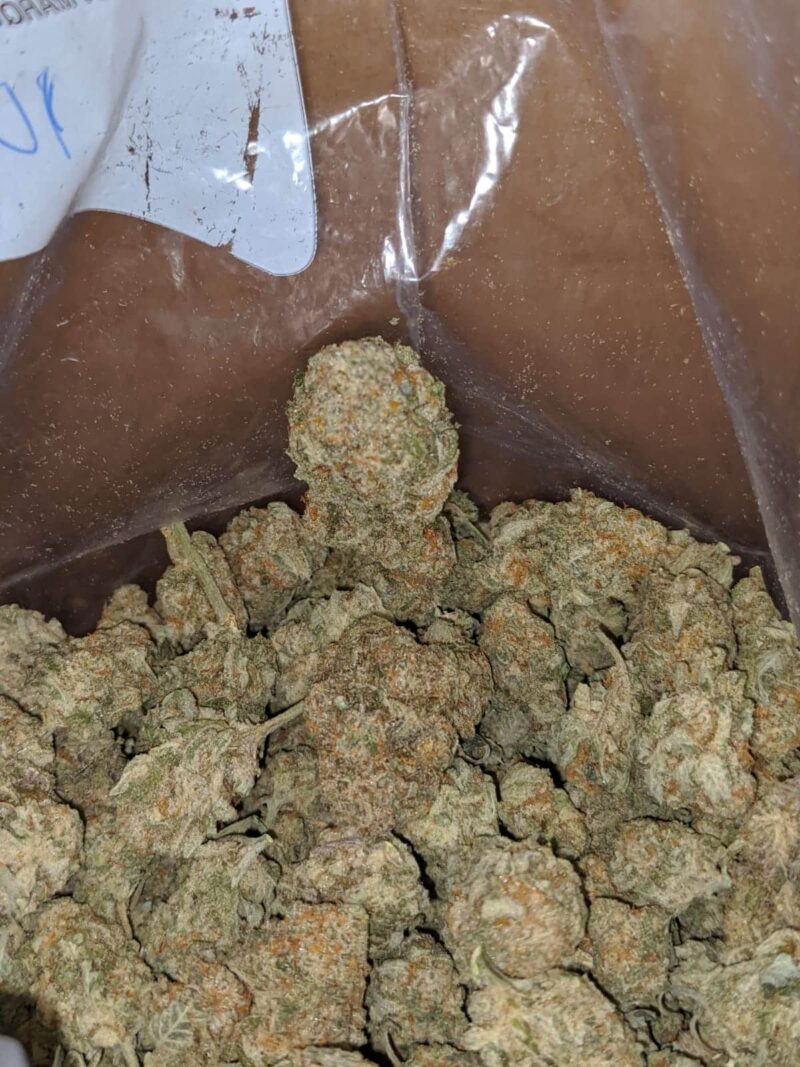 GMO Cookies #2 - Image 4
