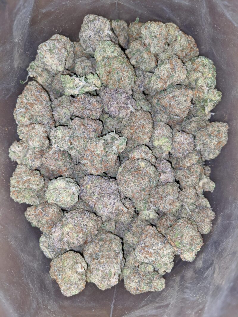 Gobbstopper - Image 6