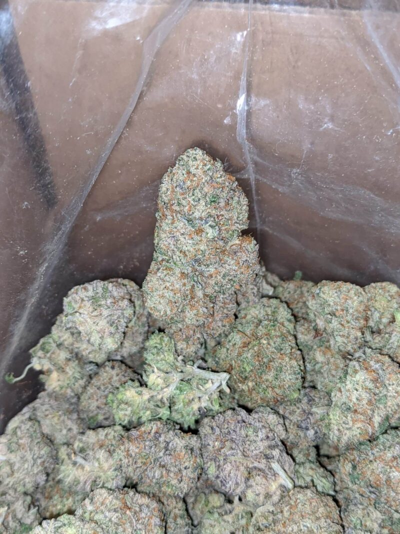 Gobbstopper - Image 4