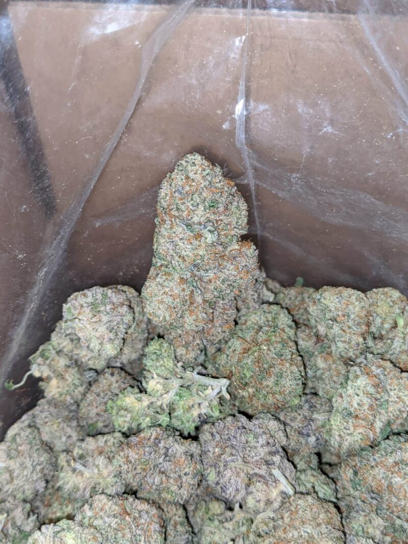 Gobbstopper - Image 7