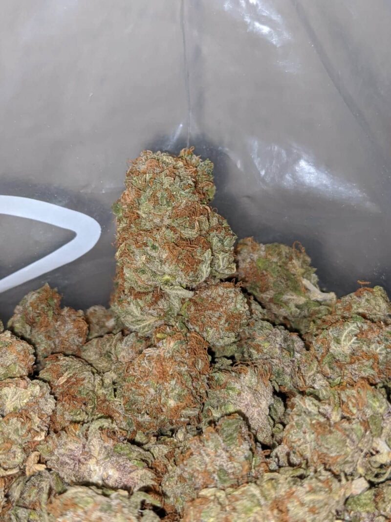 Golden Kosher – *Deal Of The Day* - Image 7