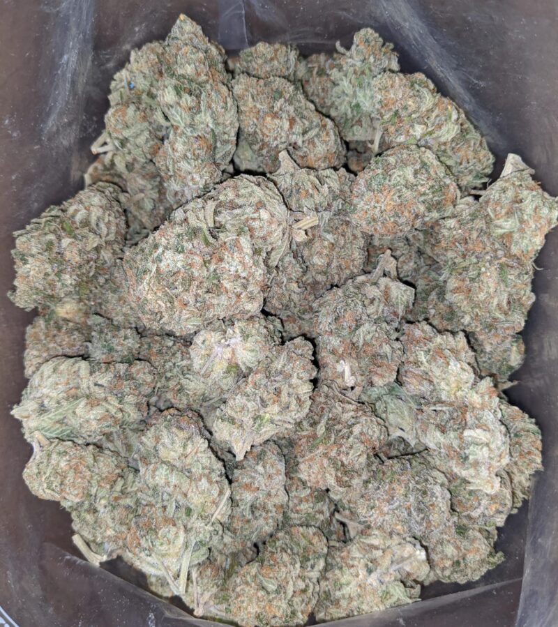 Golden Dream - Image 7