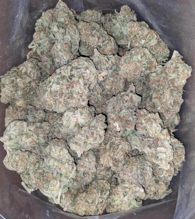 Golden Dream - Image 6